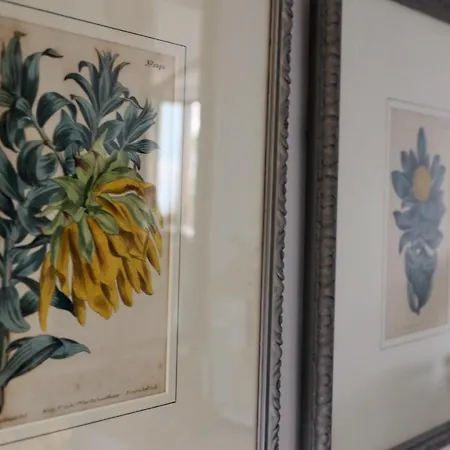 Bellagio Retreat View *